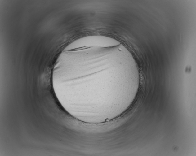 X0000094430030200712061124