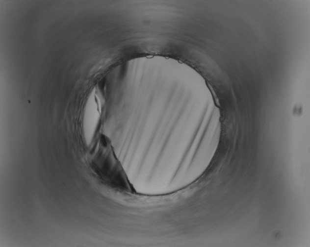 X0000094430031200712061124