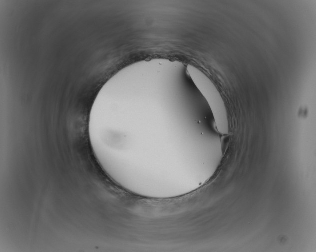 X0000094430033200712061124