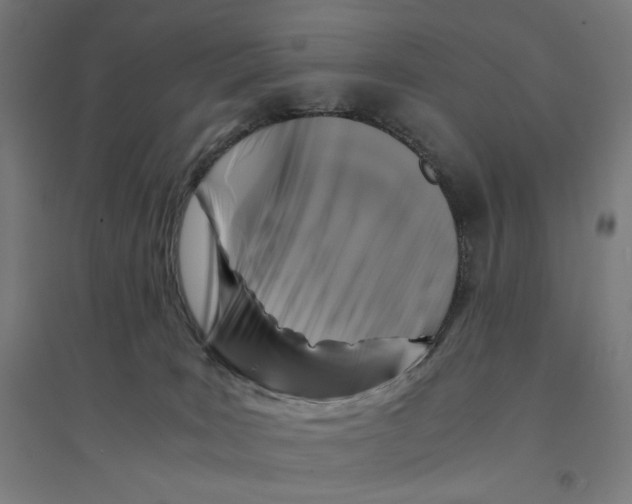 X0000094430035200712061124