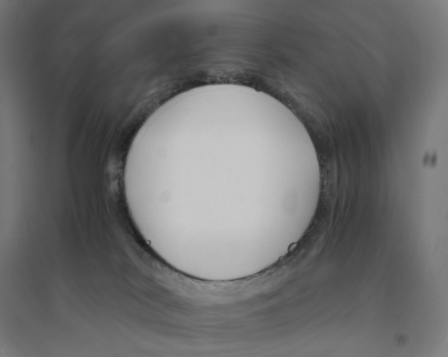 X0000094430038200712061124