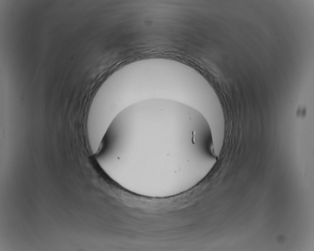 X0000094430039200712061124