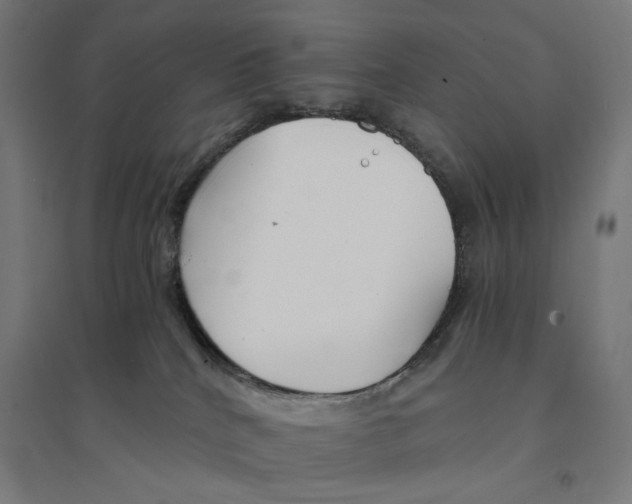 X0000094430040200712061124