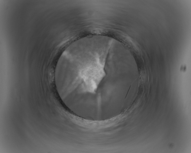 X0000094430043200712061124