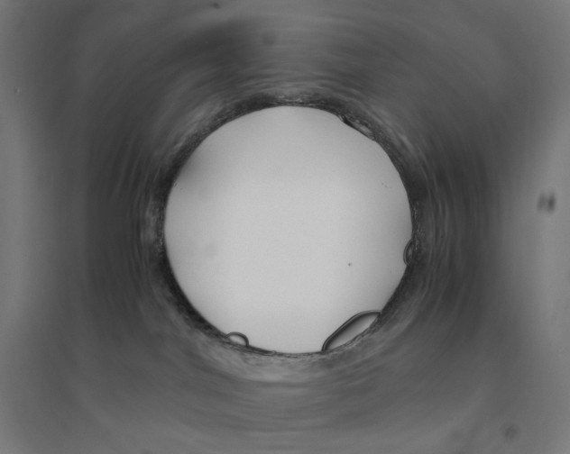 X0000094430044200712061124