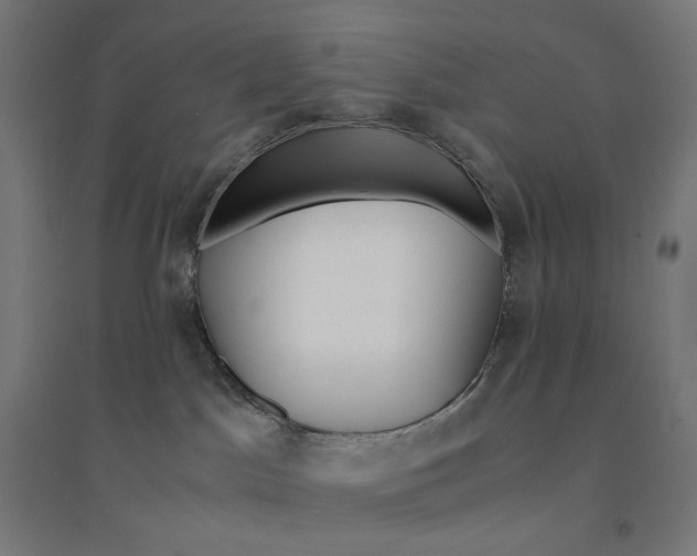 X0000094430045200712061124