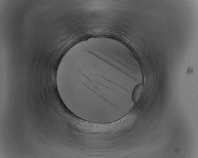 X0000094430048200712061124