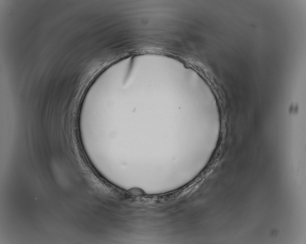 X0000094430049200712061123