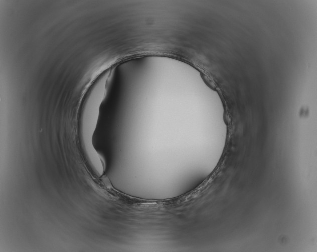 X0000094430050200712061123