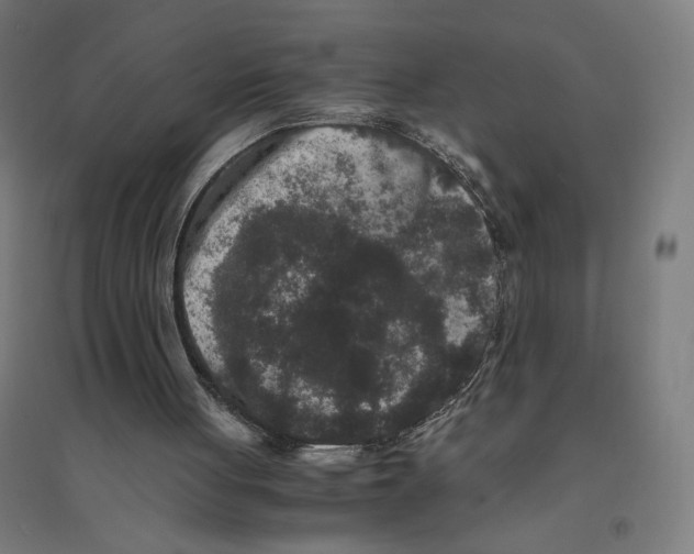 X0000094430051200712061123