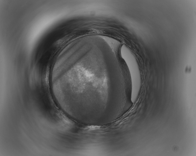 X0000094430052200712061123