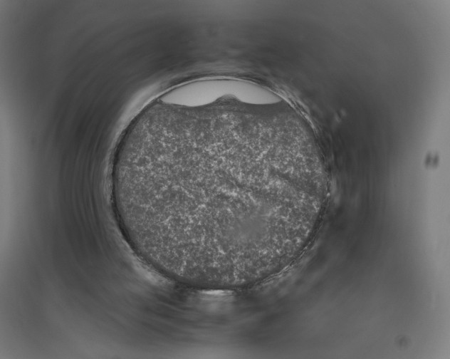 X0000094430053200712061123