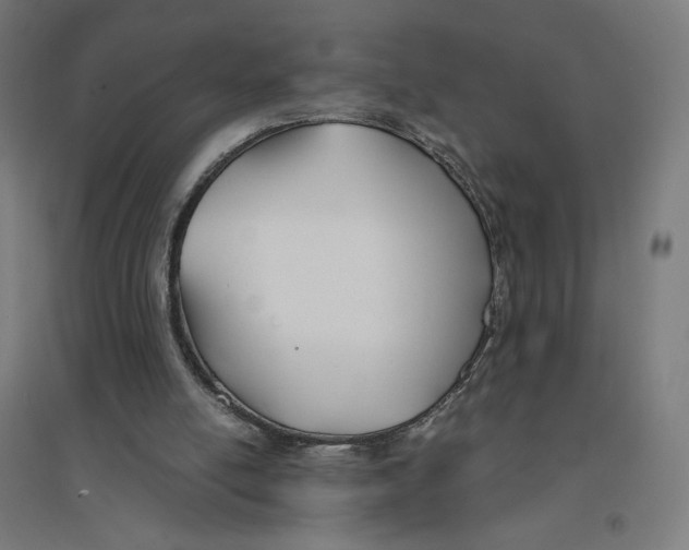 X0000094430054200712061123