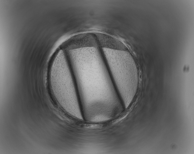 X0000094430056200712061123