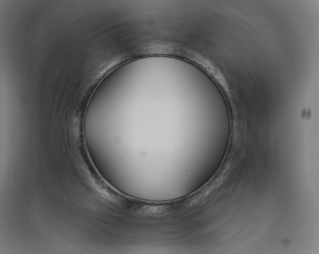 X0000094430057200712061123