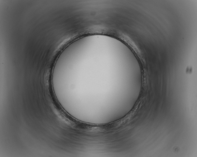 X0000094430058200712061123