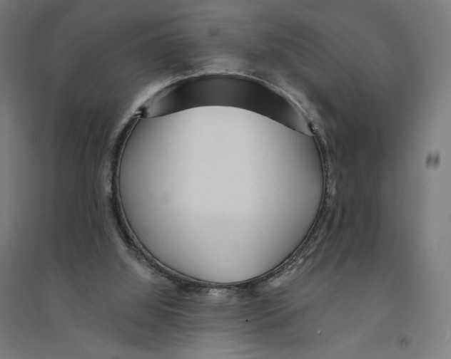 X0000094430060200712061123