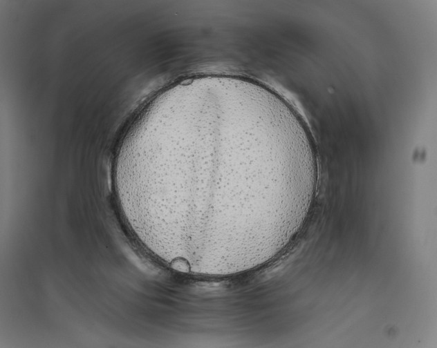 X0000094430061200712061123