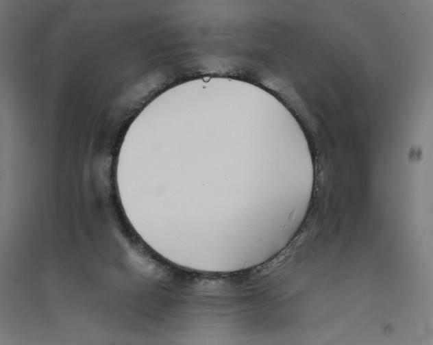 X0000094430066200712061123