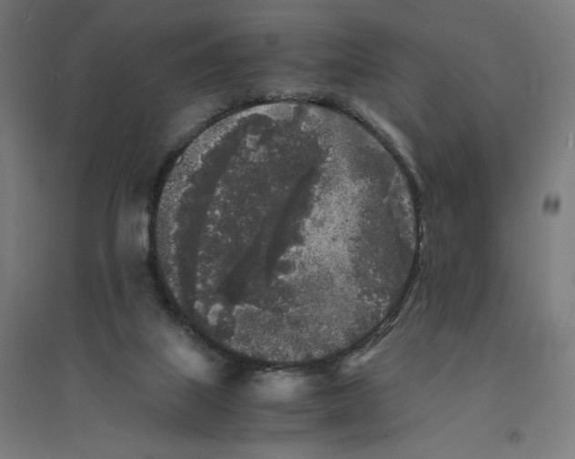 X0000094430067200712061123