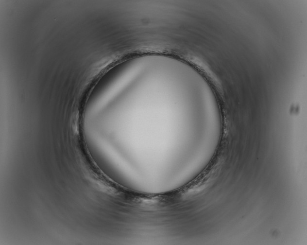 X0000094430068200712061123