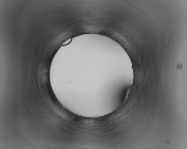 X0000094430071200712061123