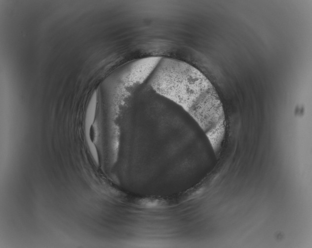 X0000094430073200712061123