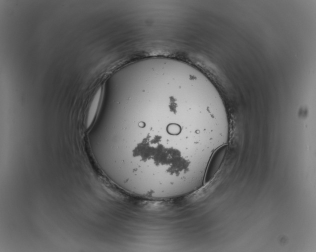 X0000094430074200712061123