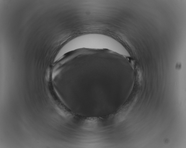 X0000094430076200712061123