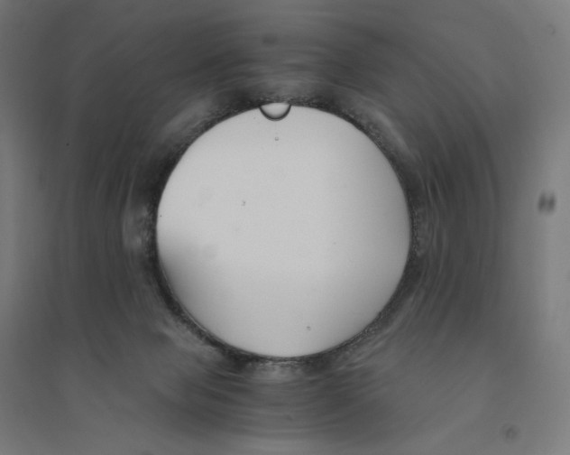 X0000094430077200712061123