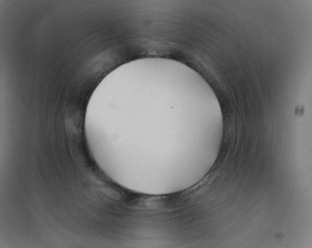 X0000094430078200712061123