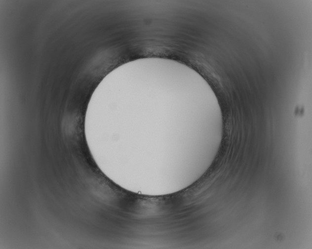 X0000094430079200712061123