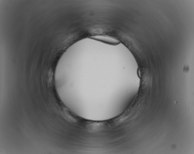 X0000094430081200712061123