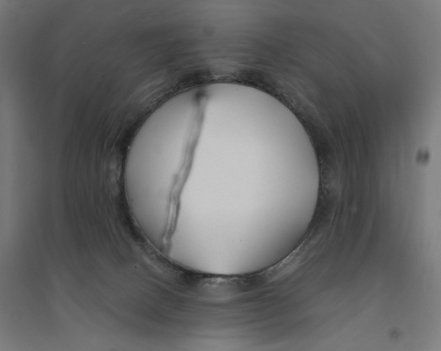 X0000094430082200712061123