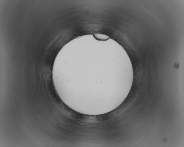 X0000094430083200712061123