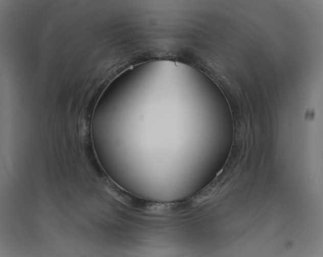 X0000094430084200712061123