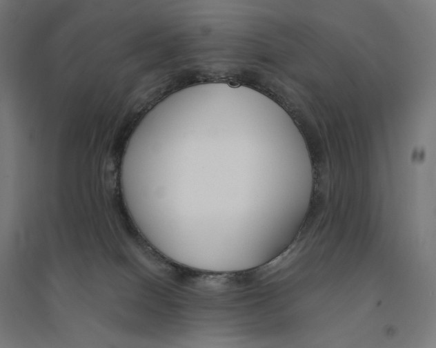 X0000094430086200712061123