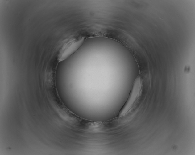 X0000094430088200712061123