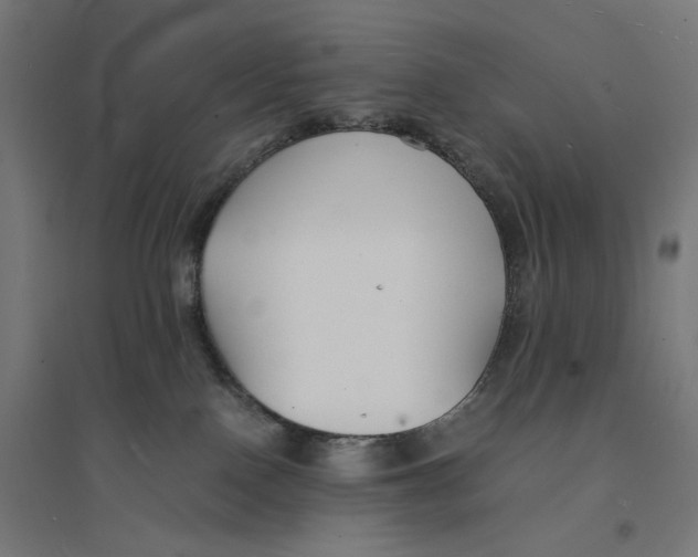 X0000094430090200712061124