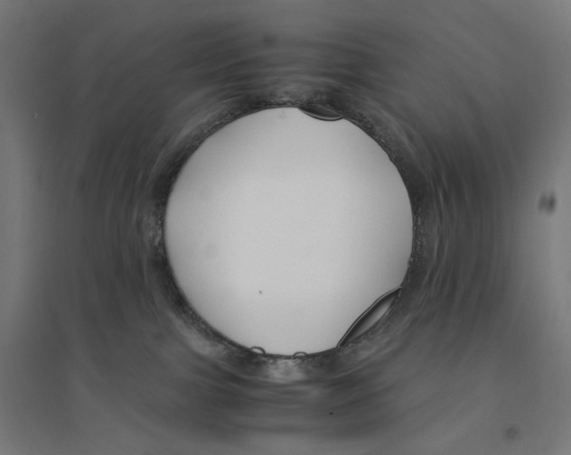 X0000094430091200712061124