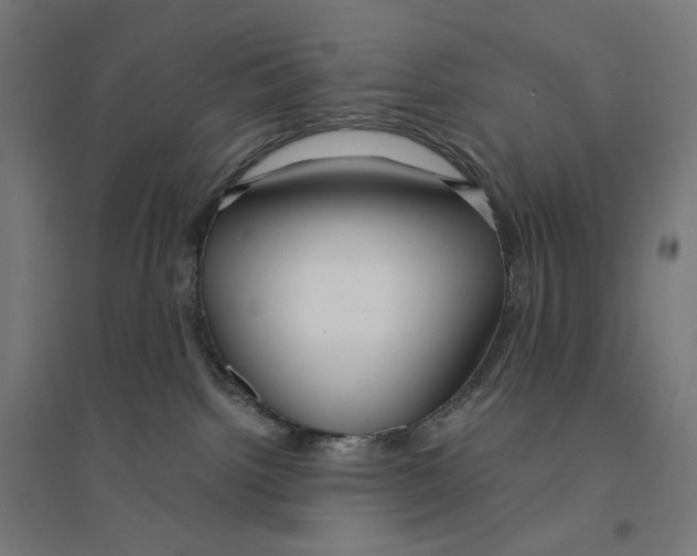 X0000094430092200712061124