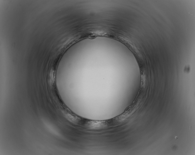 X0000094430093200712061124