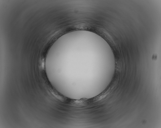 X0000094430095200712061124