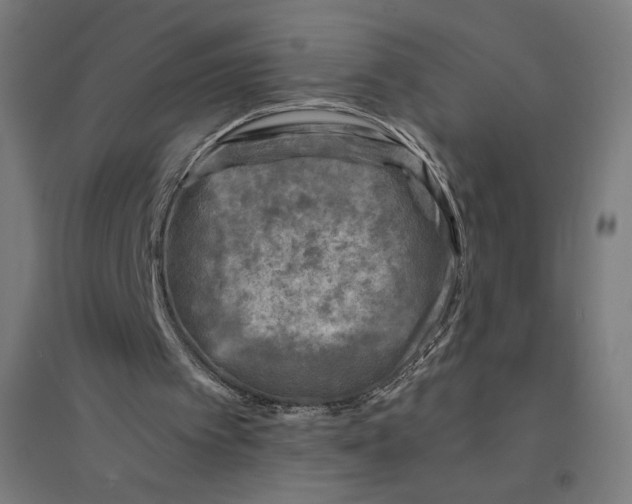 X0000094430097200712061123