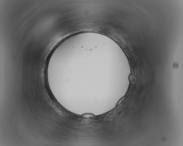 X0000094430098200712061123