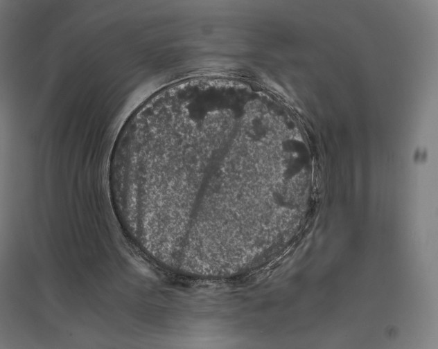 X0000094430099200712061123