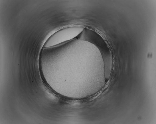 X0000094430100200712061123