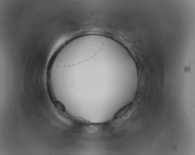 X0000094430102200712061123