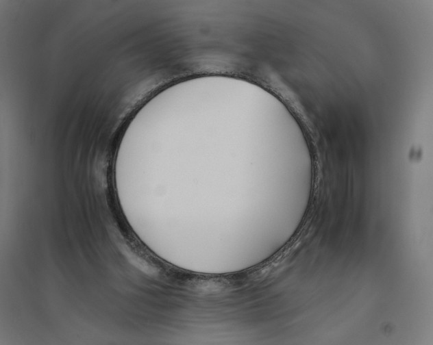 X0000094430106200712061123