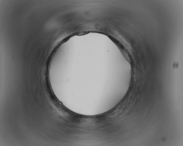 X0000094430107200712061123